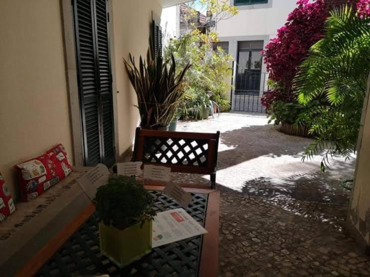 Villa Pitta Vila Baleira  Ngoại thất bức ảnh